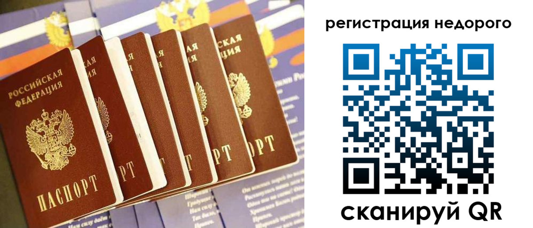 прописка в квартире в Курчатове